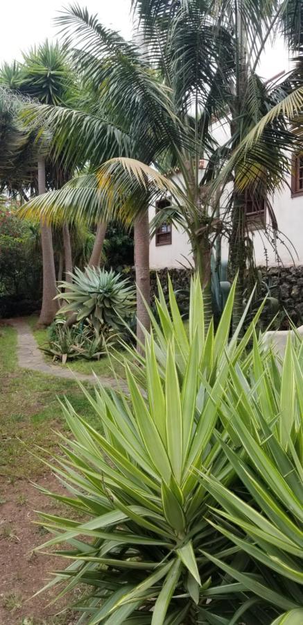 La Casita De La Vega Apartment Icod De Los Vinos Exterior photo